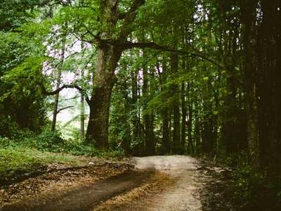 المنشورات التوعوية والتثقيفية