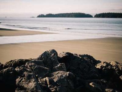 توزيعات التخرج