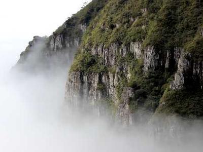 استاندات تخرج