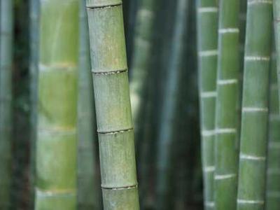 الكتيبات التعريفية