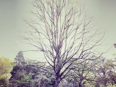 استيكرات المنتجات