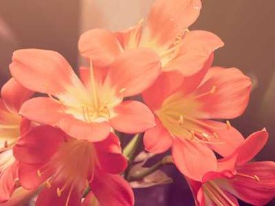 استيكرات ضد الماء